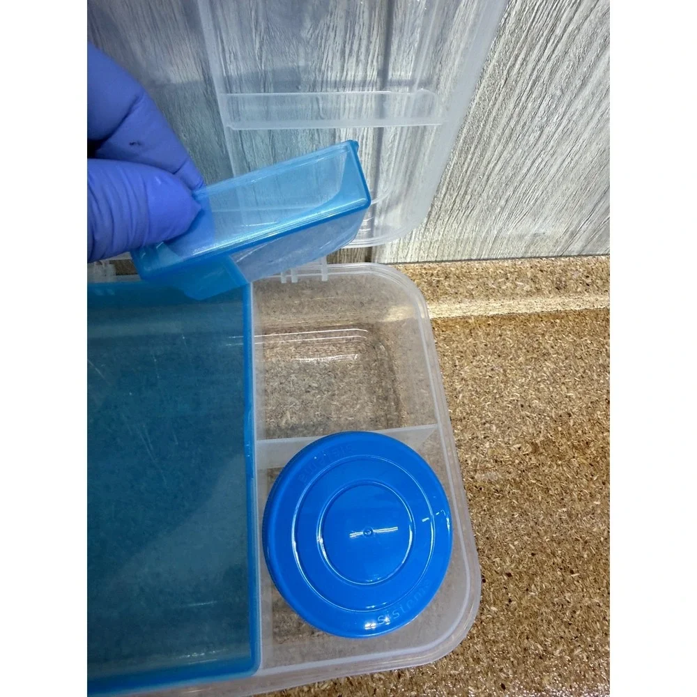 Sistema Bento Box Multi Compartment Lunch Container Blue 2L with Yogurt Pot
